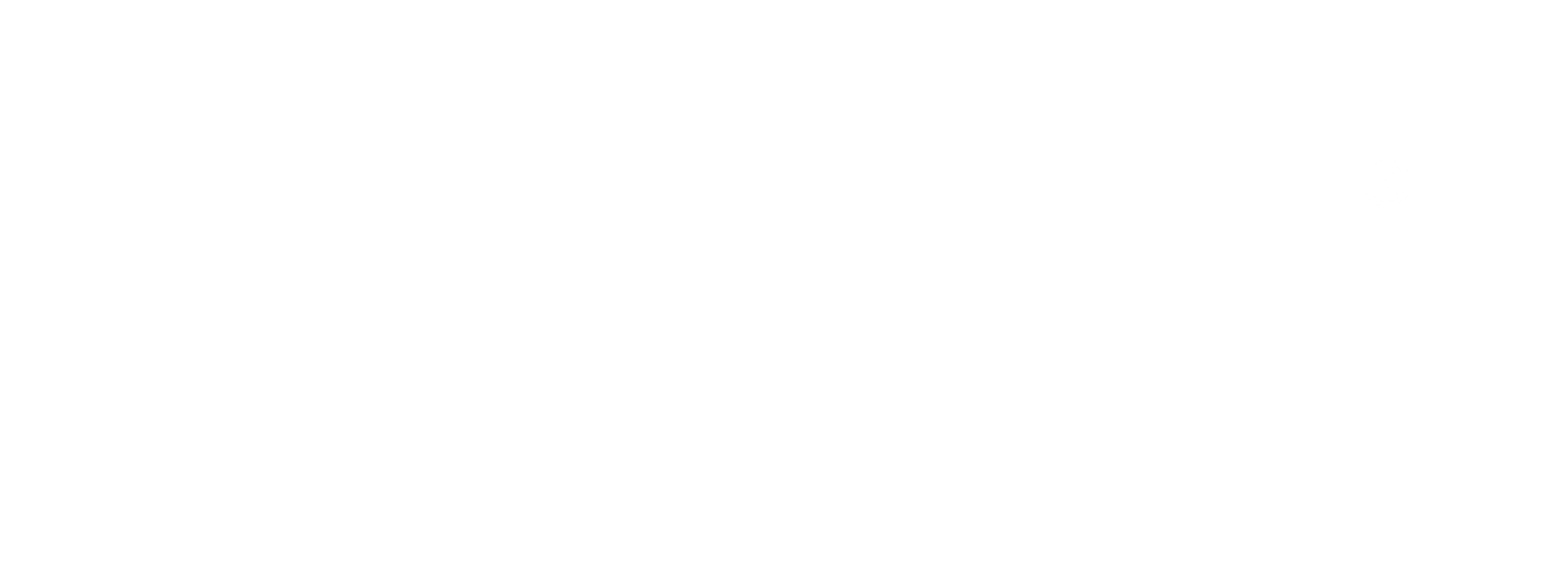 The KING HAWK AMRITSAR Logo